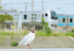 「あくび」 藤野 稜大 様