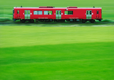 「緑のじゅうたん」 星野 雄飛 様
