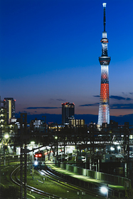 「キャンドルツリー」 柳沼 伸也 様