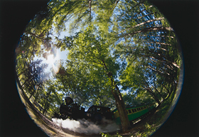 「森林浴」 伊藤 正和 様