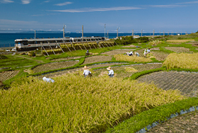 「ローカル線が似合う里」 柳瀬 真 様