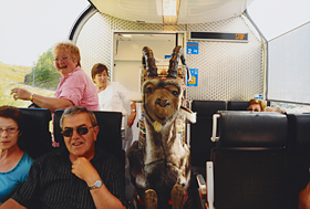 「珍客」 桑原 健二 様