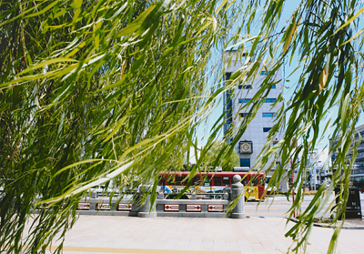 「はりまや橋通過」 二木 信輔 様