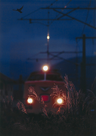 「三点の光」 日下部 剛 様