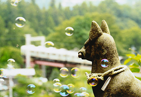 「しゃぼん玉ふわり」 栗原 乃彩 様