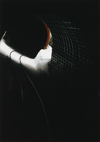 「コントラスト」 井口 光 様