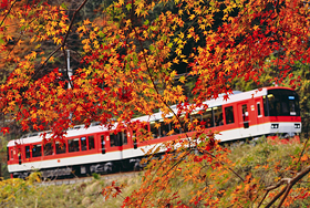 「紅色のフレーム」 麦田 徳真 様