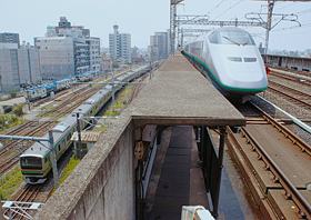 「見事な上下関係」 蟹江 大和 様