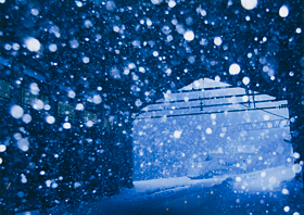 「雪の妖精」 槇本 大輝 様