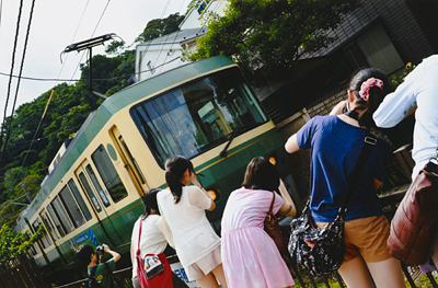 「鎌倉の人気者」 假家 望 様