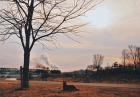 「散歩道の光景」 宗林 保広 様