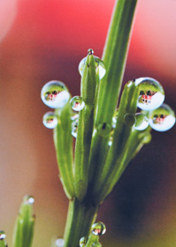 「水の煌き(7)」 山本 誠 様