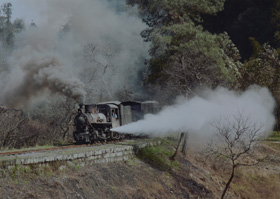 「全力疾走」 作治 隆幸 様