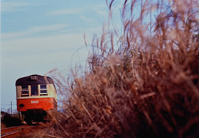 「晩秋」 内田 明 様